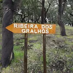 Casinha Laranja *