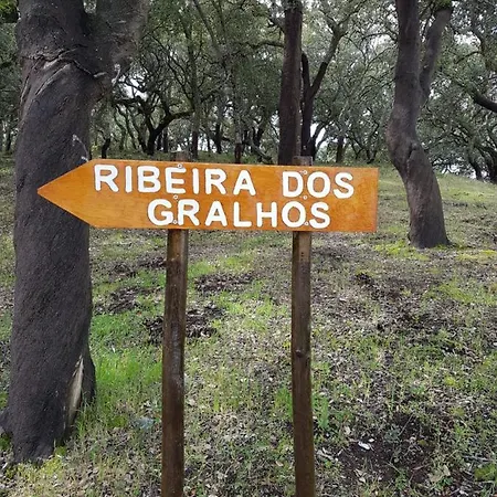 Casinha Laranja *