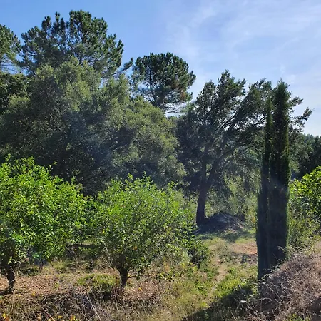Casinha Laranja Hébergement de vacances *