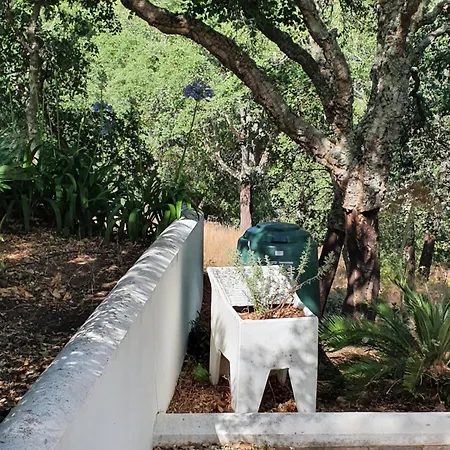 Casinha Laranja Monchique