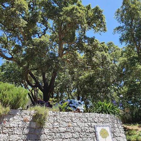 Casinha Laranja Hébergement de vacances