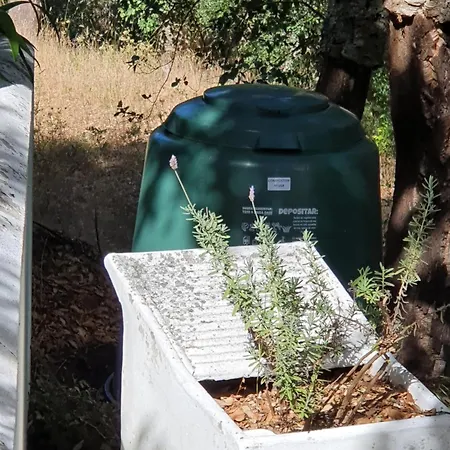 Casinha Laranja Hébergement de vacances