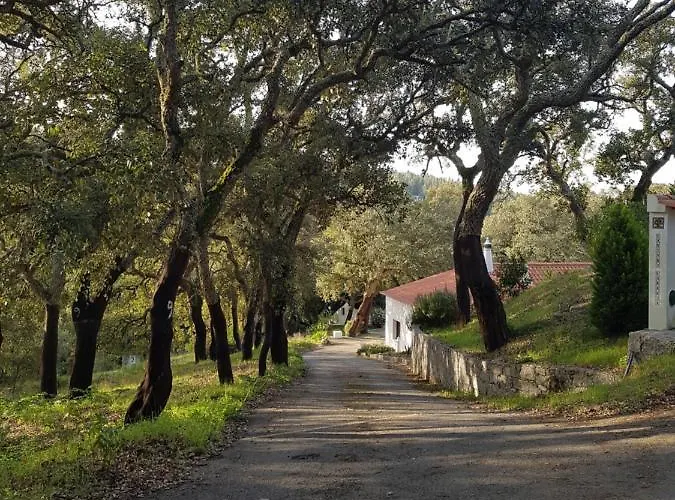 Casinha Laranja Dom wakacyjny Monchique