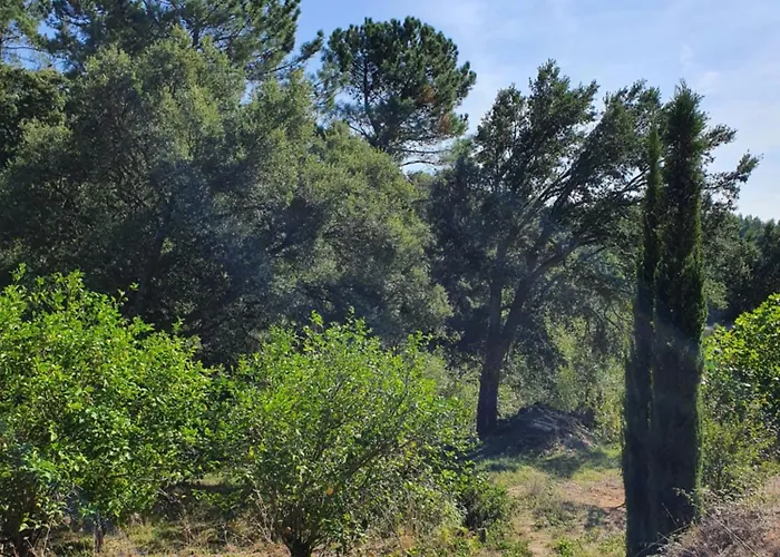 Casinha Laranja Dom wakacyjny *