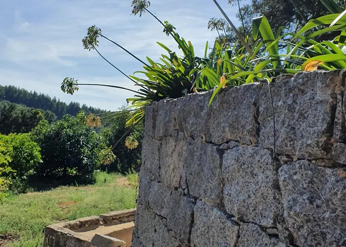 Casinha Laranja Monchique