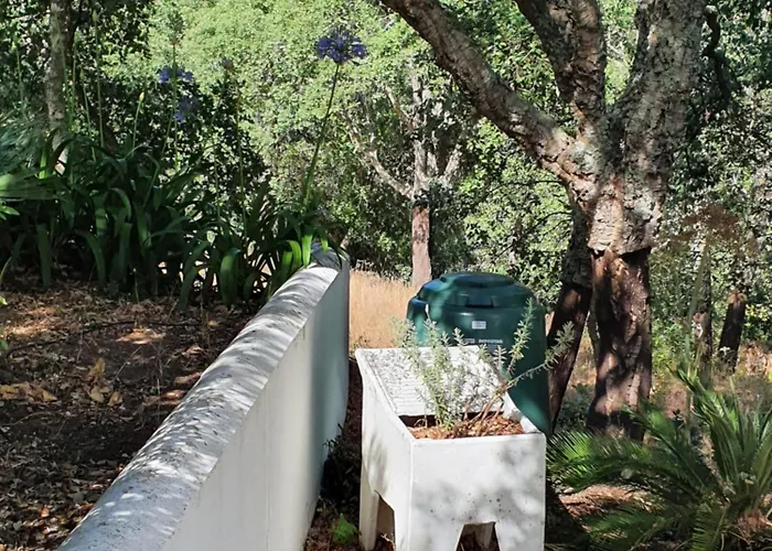 Casinha Laranja Monchique