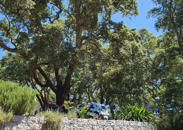 Casinha Laranja Dom wakacyjny