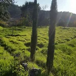 Casinha Laranja *